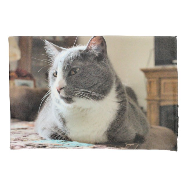 Cat Pillowcase (Front)