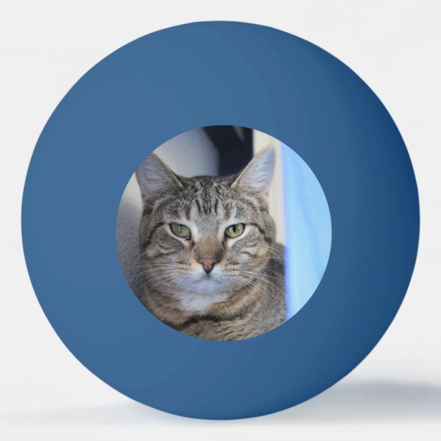 Cat Ping Pong Ball (Front)