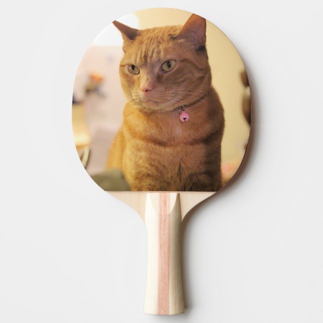 Cat Ping Pong Paddle (Front)