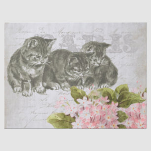 Cat Pink Flower French Script Paris Decoupage Tissue Paper
