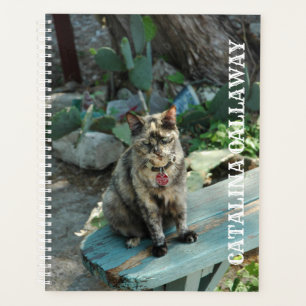 Cat Planner