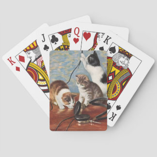 cat playing cards