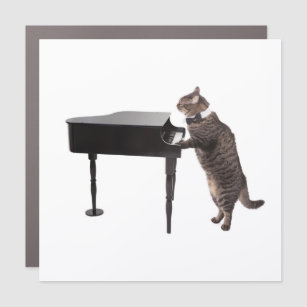 Cat Playing Piano Car Magnet
