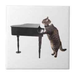 kitty cat in teacup background from piano tiles 4 kitty cat in teacup background from piano tiles 4