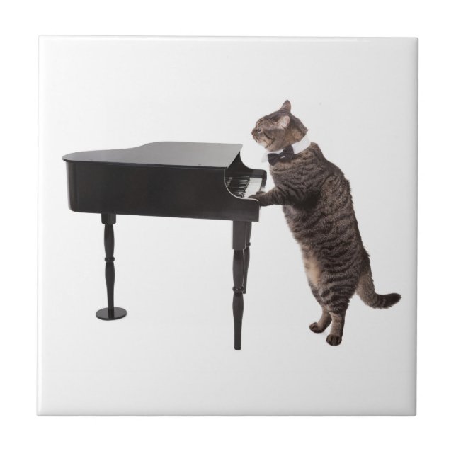 Cat Playing Piano Ceramic Tile (Front)