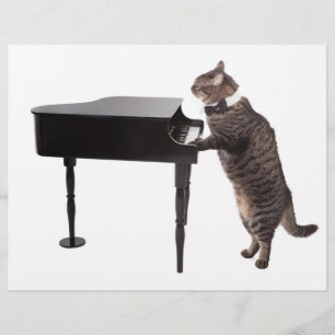 Cat Playing Piano Flyer