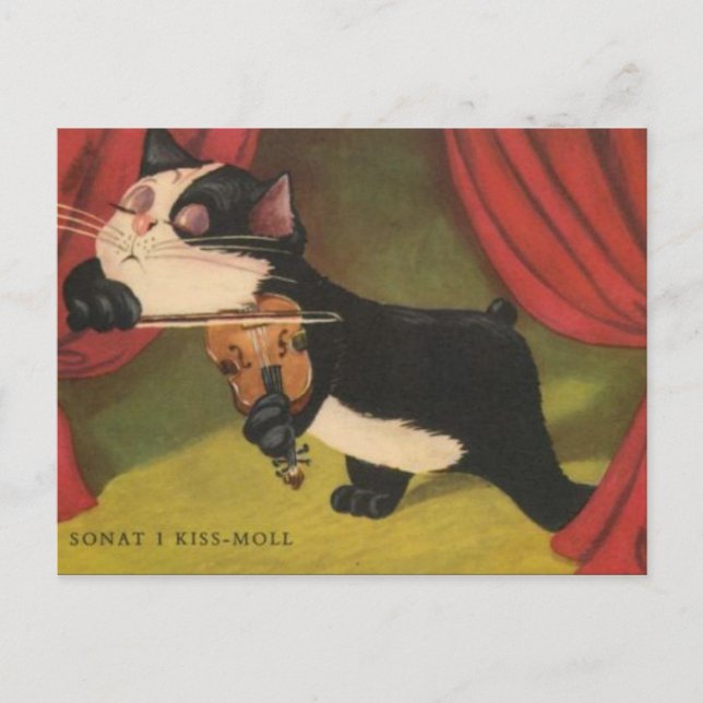 Cat Playing Sonet On Violin From 1909 PC Postcard (Front)