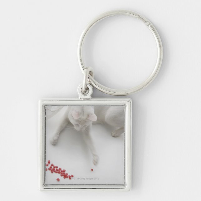 Cat playing with heart shaped candy key ring (Front)