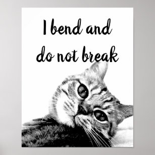 Cat Poets Jean de La Fontaine I bend do not break  Poster