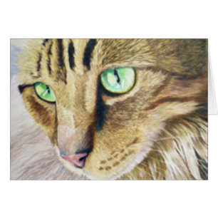 Cat Portrait