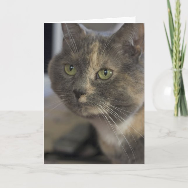 Cat Portrait Card (Front)