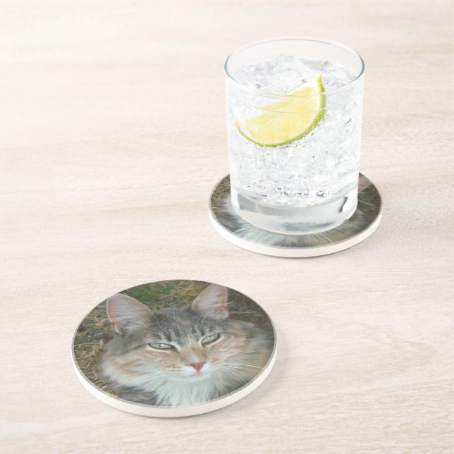 Cat Portrait Coaster (Side)