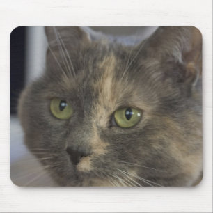 Cat Portrait Mousepad