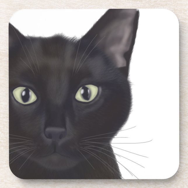 Cat, Portrait of Gus Coaster (Front)