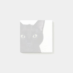 Cat, Portrait of Gus Post-it Notes