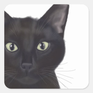 Cat, Portrait of Gus Square Sticker