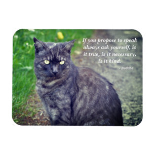 Cat posing on a walk Motivational Buddhist Quote Magnet