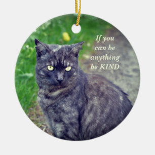 Cat Posing on a Walk Motivational Ceramic Ornament
