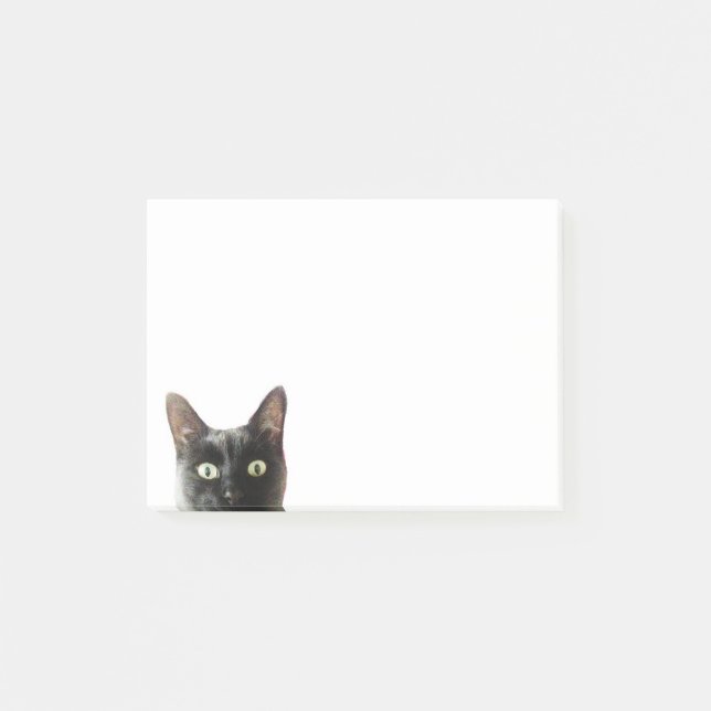 Cat Post-it Notes (Front)