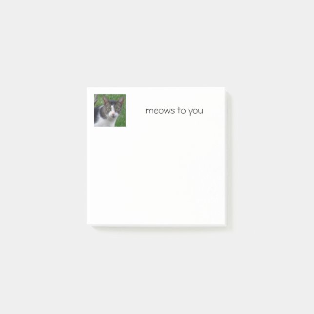 Cat Post-it Notes (Front)