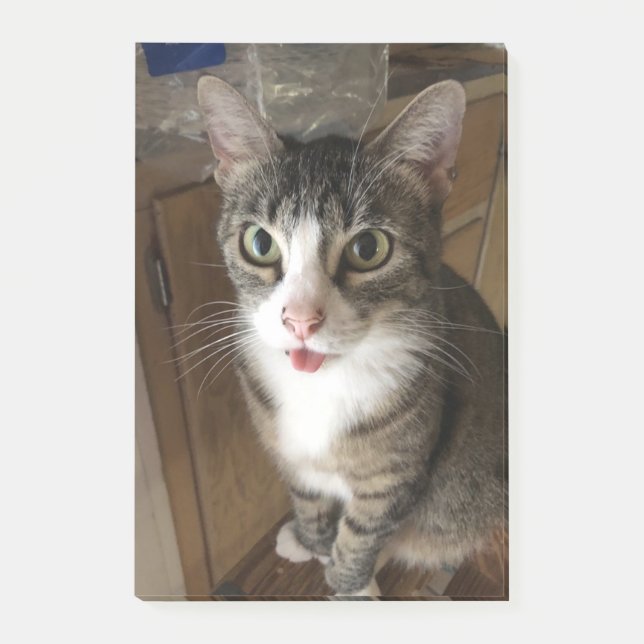 Cat Post-it Notes (Front)