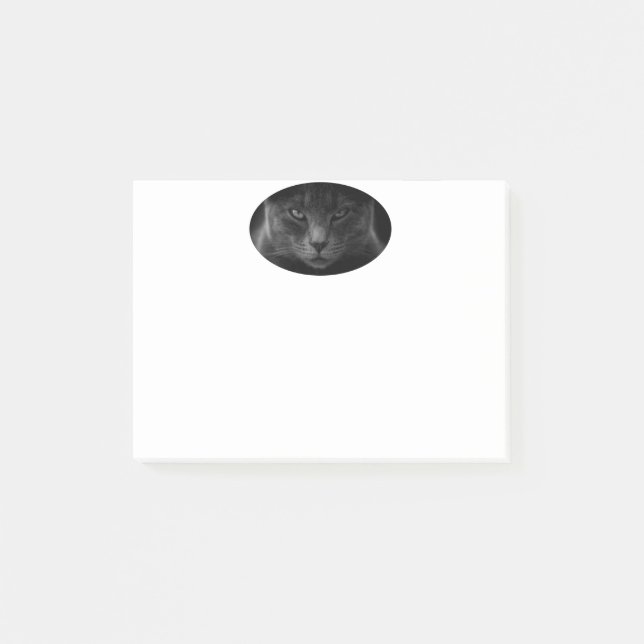 Cat Post-it Notes (Front)