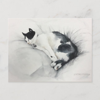 Cat postcard