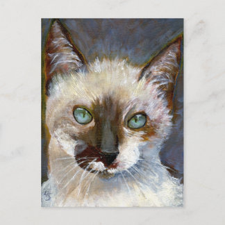 Cat Postcard