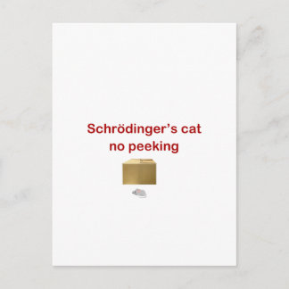 cat postcard