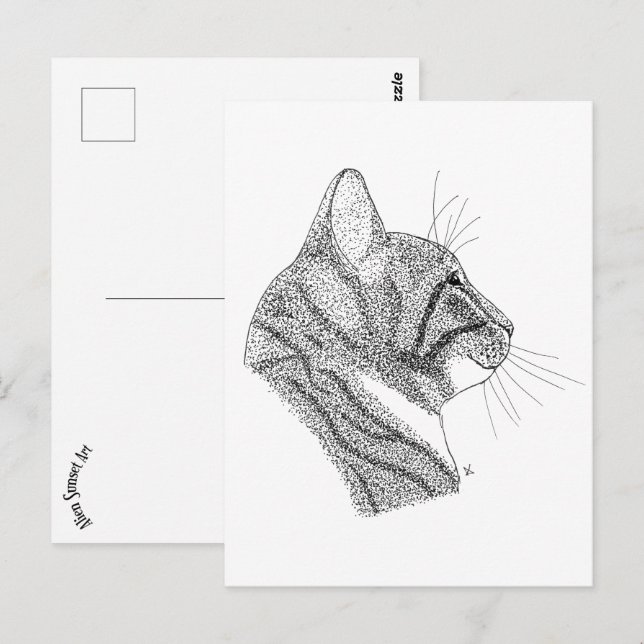 cat postcard (Front/Back)