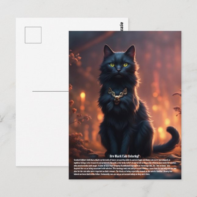 Cat Postcard (Front/Back)