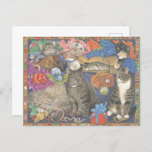 Cat Postcard