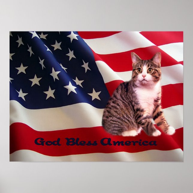 Cat Poster All American (Front)
