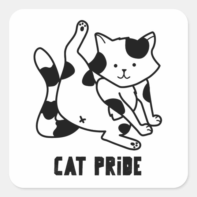 Cat Pride Funny Cat Silly Black and White Cat Square Sticker (Front)