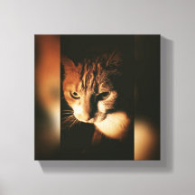 Cat Printed On Canvas