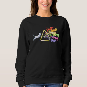 Cat Prism Rainbow Light Physics Science Spectral C Sweatshirt