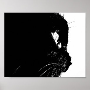 Cat Profile Poster