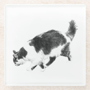 Cat Prowl in Autumn Shadows Glass Coaster