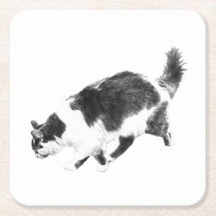 Cat Prowl in Autumn Shadows Square Paper Coaster