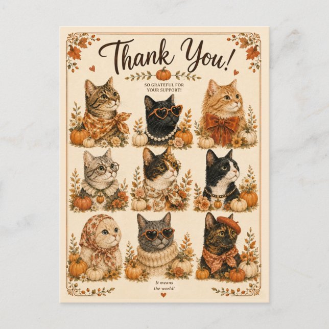 Cat pumpkin animal gift postcard (Front)