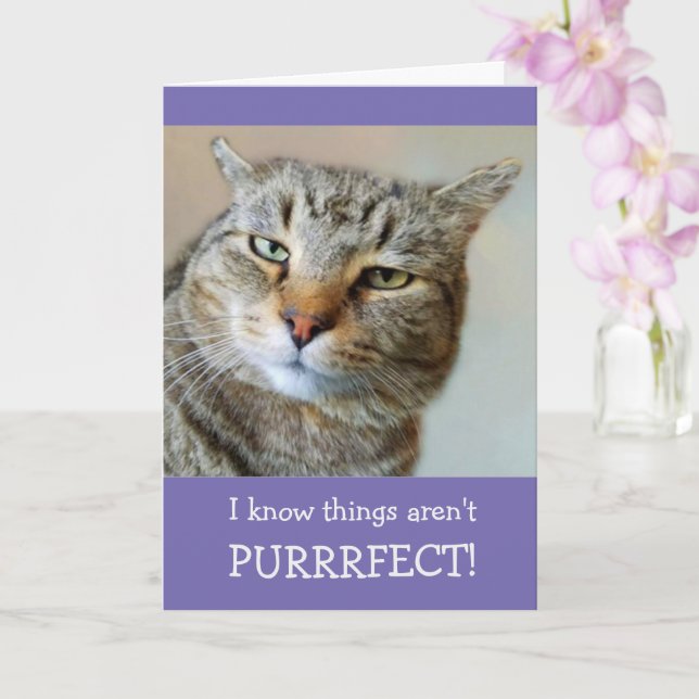 Cat Pun And Joke Get Well Card (Orchid)