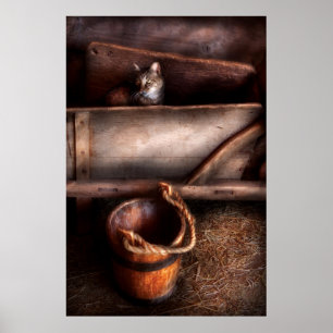 Cat - Push me Poster