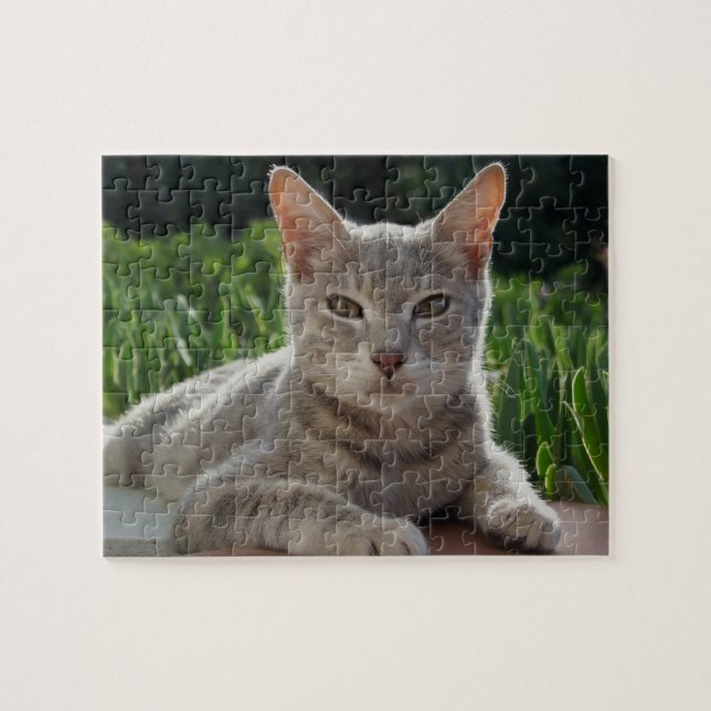 Cat Puzzle (Horizontal)