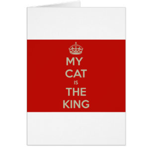 Cat Qoute