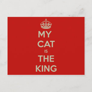 Cat Qoute Postcard