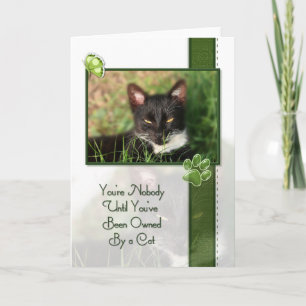 Cat Quote Card