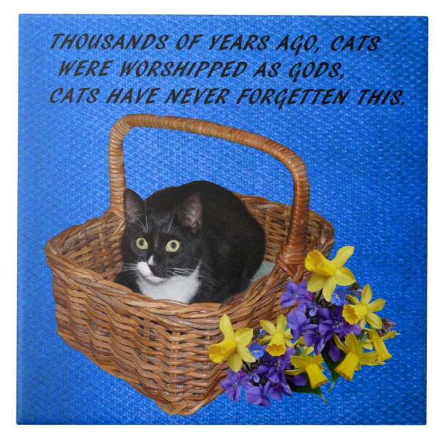 CAT QUOTE CERAMIC TILE (Front)