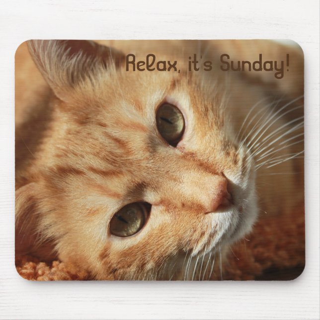 Cat quote mouse pad (Front)