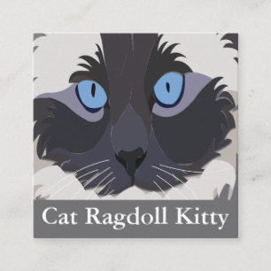 Cat Ragdoll Blue Eyes  Square Business Card