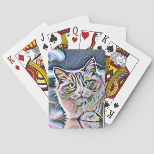 Cat ragdoll kitten  playing cards